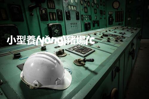 小型養(yǎng)豬場(chǎng)廢水處理設(shè)備的環(huán)保革命？答案在那個(gè)地點(diǎn)！